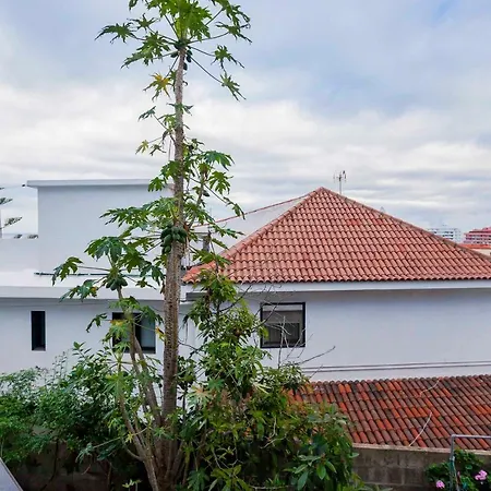 Apartment New Cozy Botanico